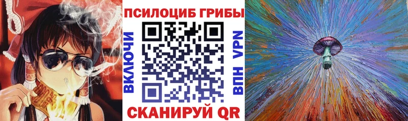 дарнет шоп  Кировск  дарк нет какой сайт  Псилоцибиновые грибы GOLDEN TEACHER  ОМГ ОМГ ТОР 